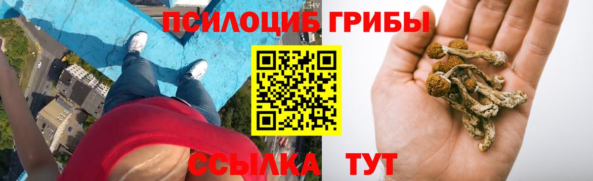 Псилоцибиновые грибы мицелий  Псилоцибиновые грибы Psilocybe  Павловский Посад  Вход с VPN 